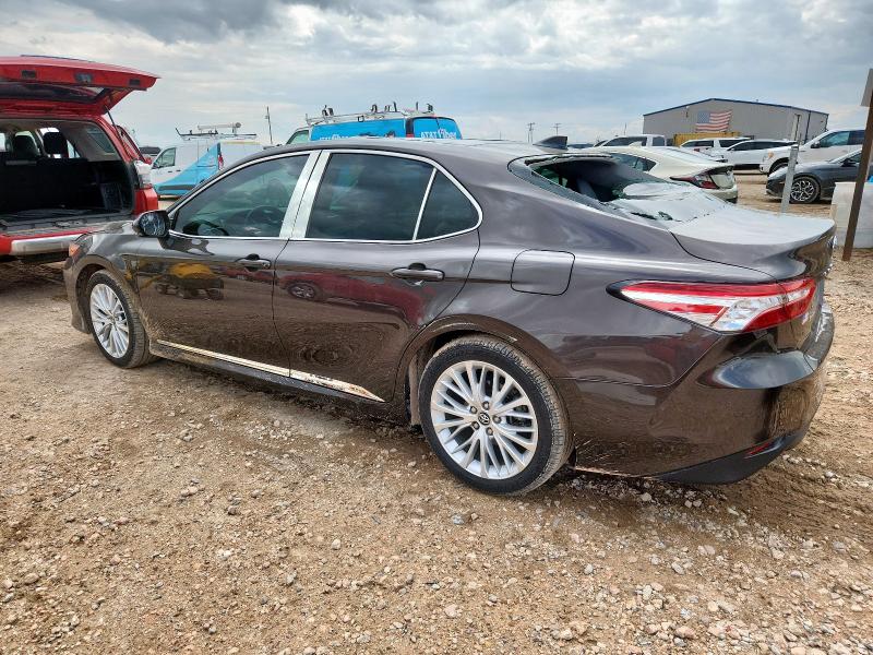 2020 TOYOTA CAMRY XLE - 4T1F11AK8LU915393