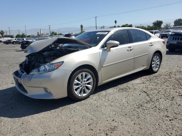 LEXUS ES 300H