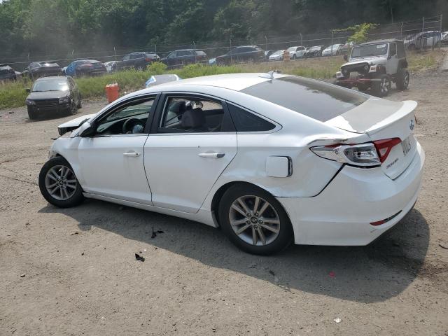 2016 HYUNDAI SONATA SE - 5NPE24AF9GH377501
