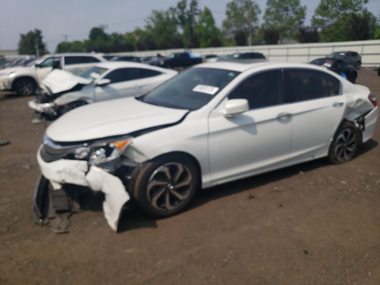HONDA ACCORD EXL