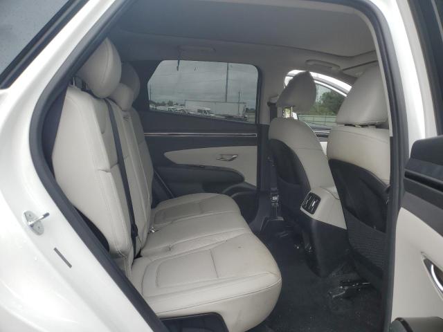 2023 HYUNDAI TUCSON LIM 5NMJECAE9PH233581
