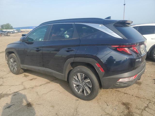 Vin: km8jbcd19ru240586, lot: 61274065, hyundai tucson blue 20242