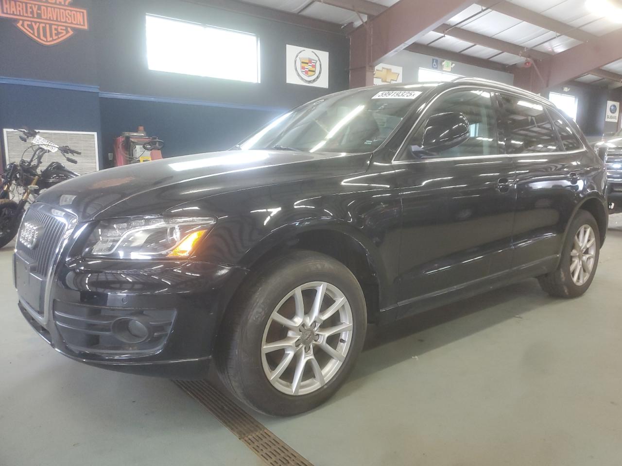 AUDI Q5 PREMIUM PLUS