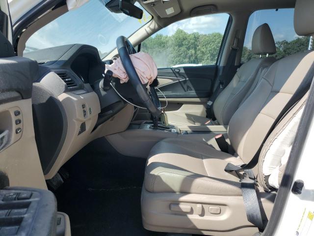 2019 HONDA PILOT EXL 5FNYF6H53KB081813