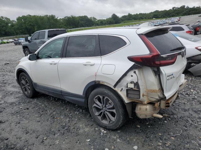 Vin: 7farw1h59le004988, lot: 59726565, honda crv ex 20202