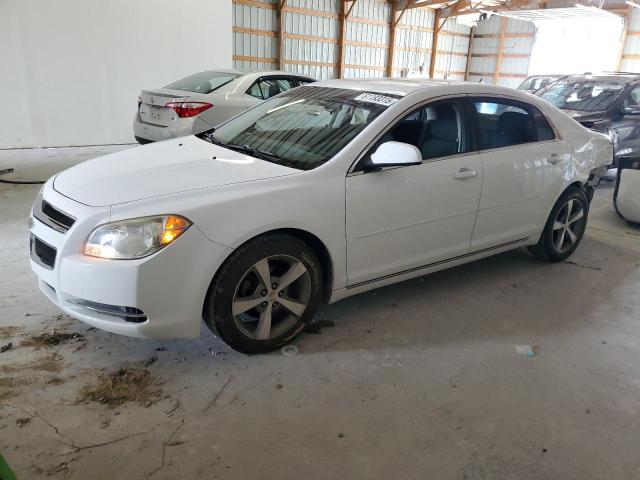 Vin: 1g1zc5e17bf206647, lot: 61193315, chevrolet malibu 1lt 2011 img_1