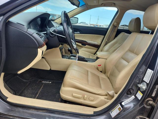 2011 HONDA ACCORD CRO - 5J6TF1H52BL003494