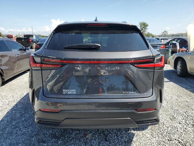 2025 LEXUS NX 250 PRE 2T2GDCAZ4SC021438