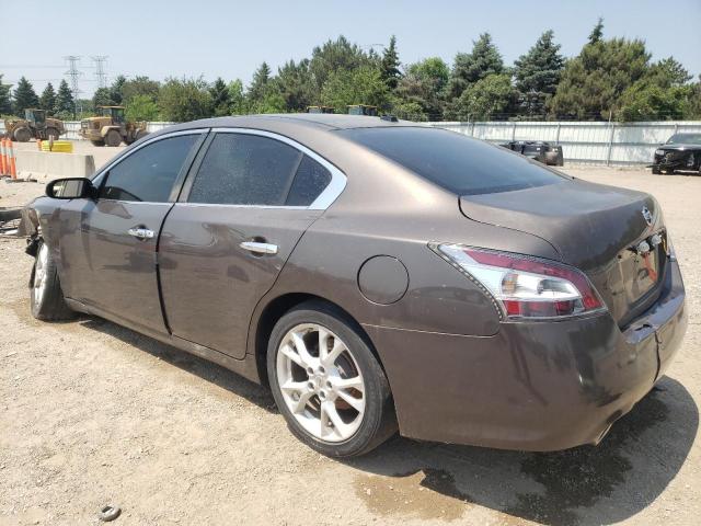Vin: 1n4aa5ap5dc821857, lot: 60243375, nissan maxima s 20132