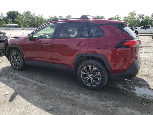 Vin: jtmb6rfv2pd541262, lot: 60106845, toyota rav4 xle premium 20232