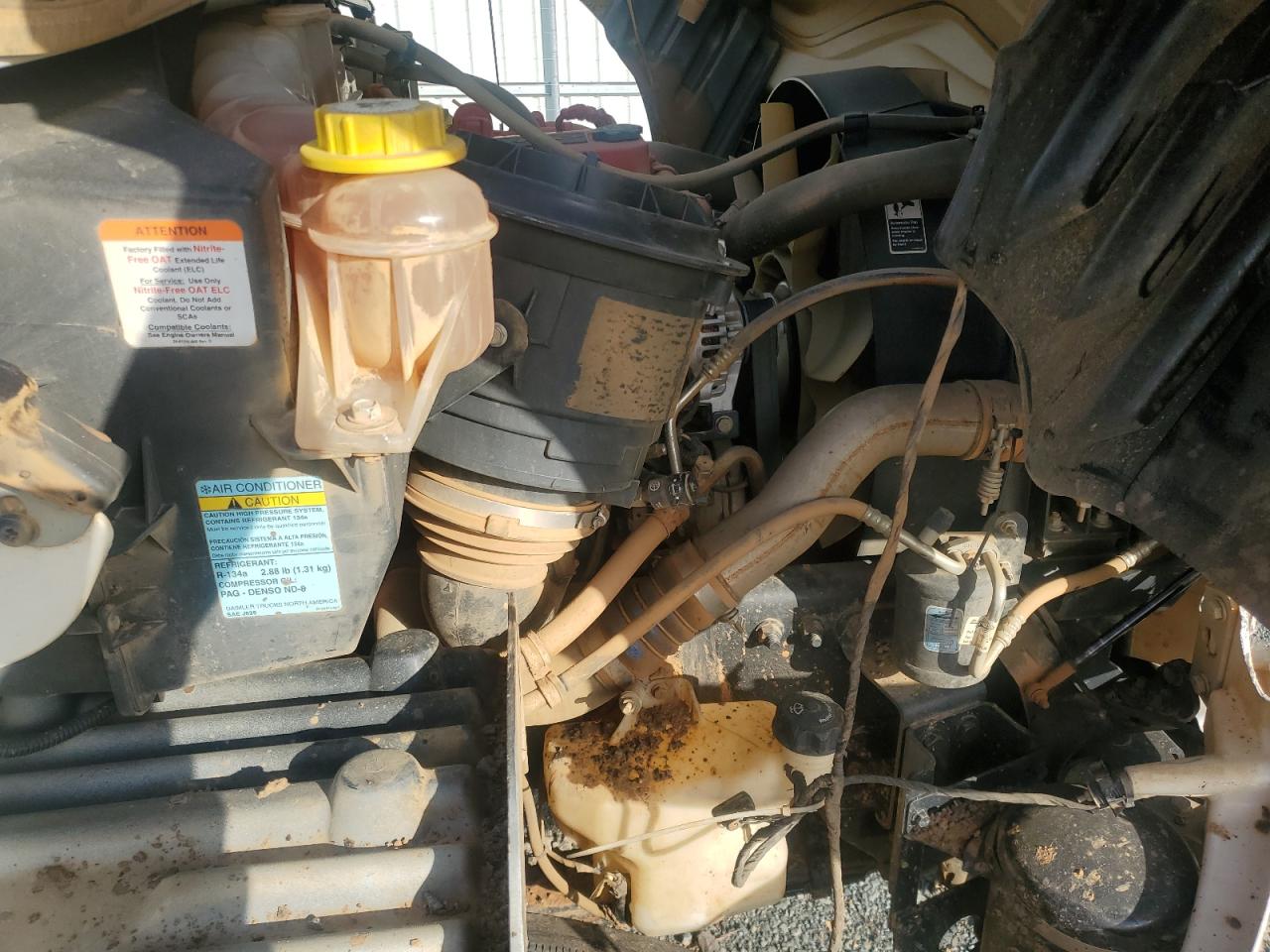 Lot #3217038019 2019 FREIGHTLINER M2 106 MED