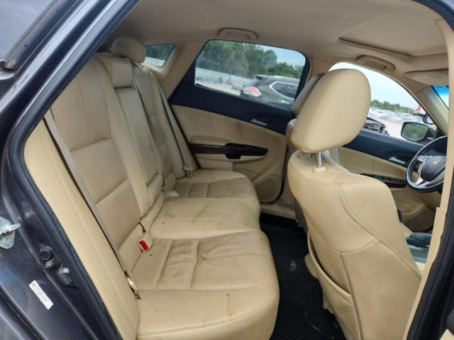 2011 HONDA ACCORD CRO - 5J6TF1H52BL003494
