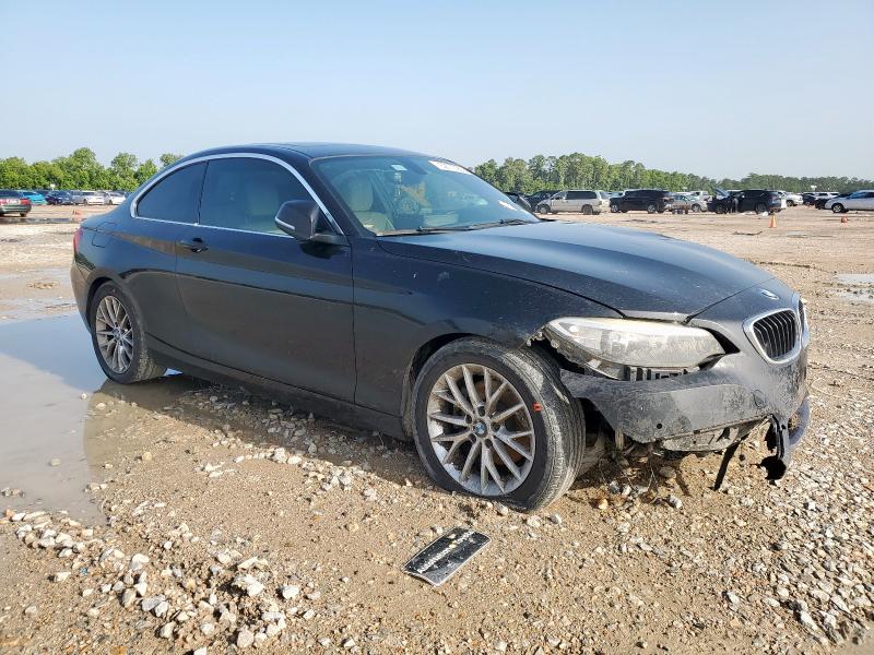 2016 BMW 228 I SULE WBA1F9C5XGV545096