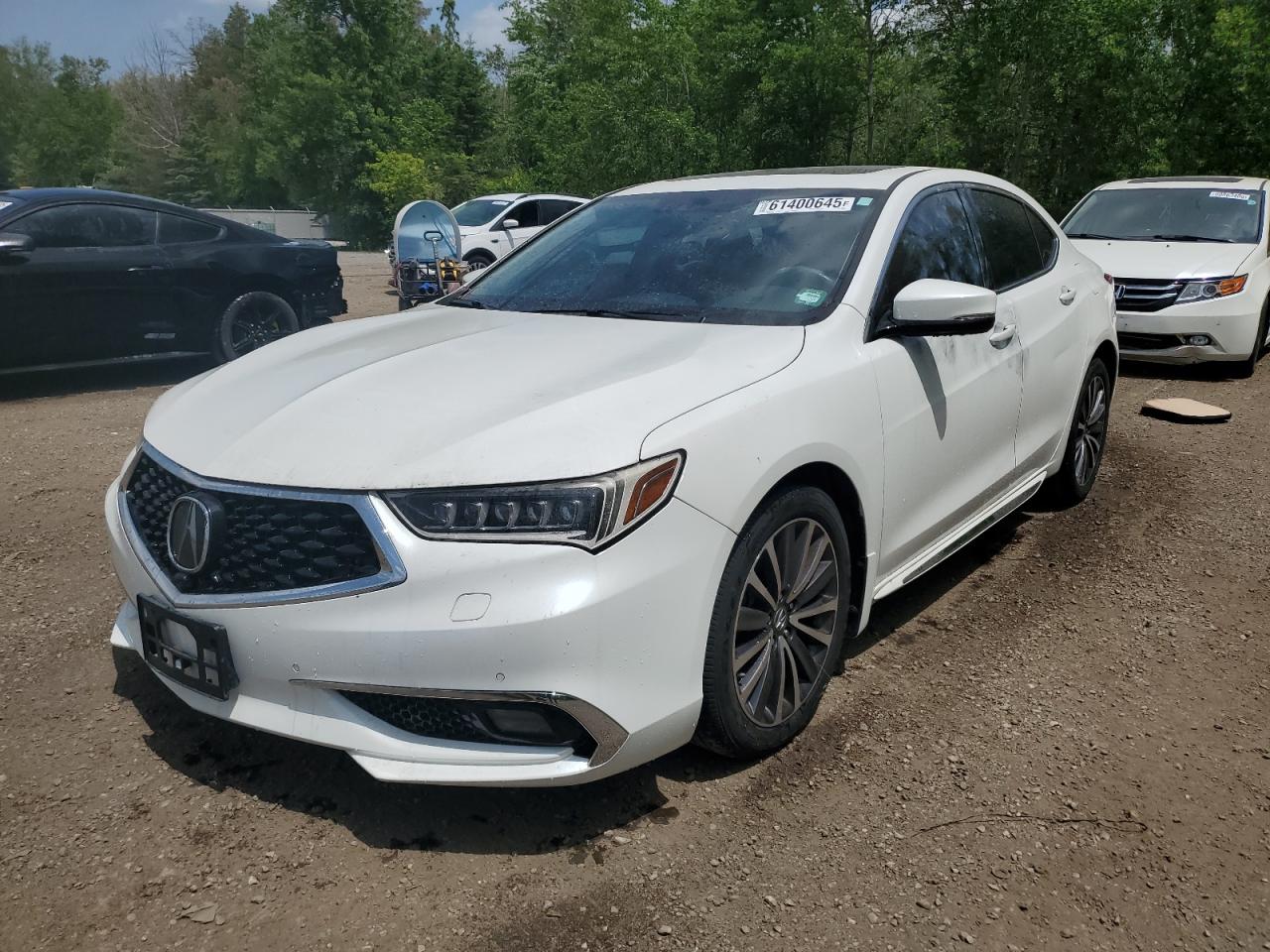 ACURA TLX ADVANCE
