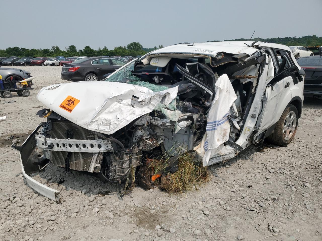 Lot #3254850136 2018 FORD ESCAPE S