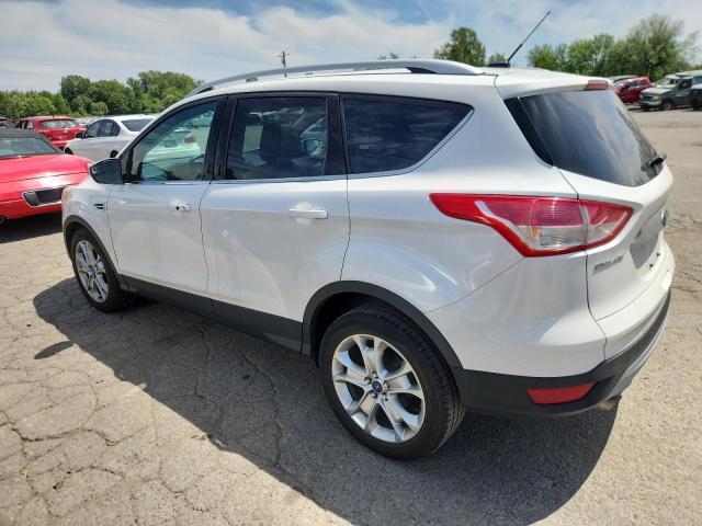 2014 FORD ESCAPE TIT - 1FMCU0JX5EUC52531