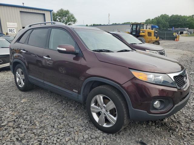 Vin: 5xykuda21dg317760, lot: 59554065, kia sorento ex 20134