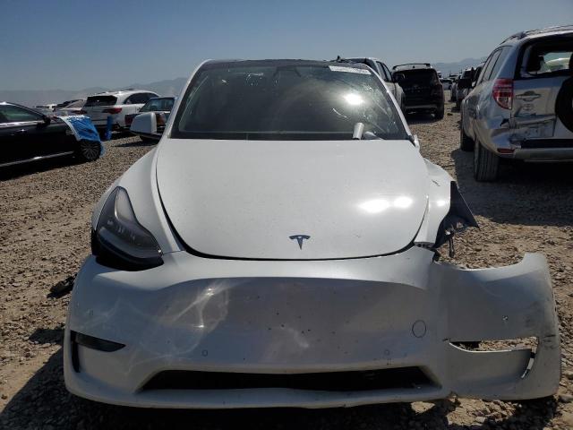 2020 TESLA MODEL Y 5YJYGDEEXLF016688