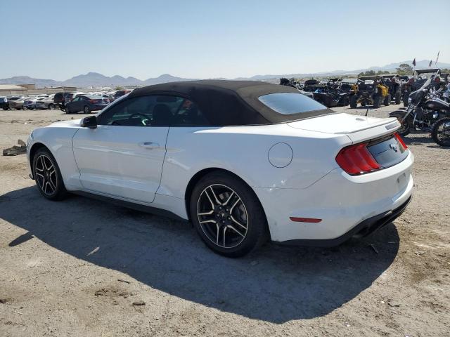 2019 FORD MUSTANG - 1FATP8UH9K5149395