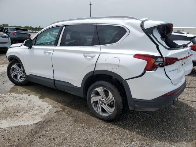Vin: 5nms2daj6ph550685, lot: 59668855, hyundai santa fe sel 20232