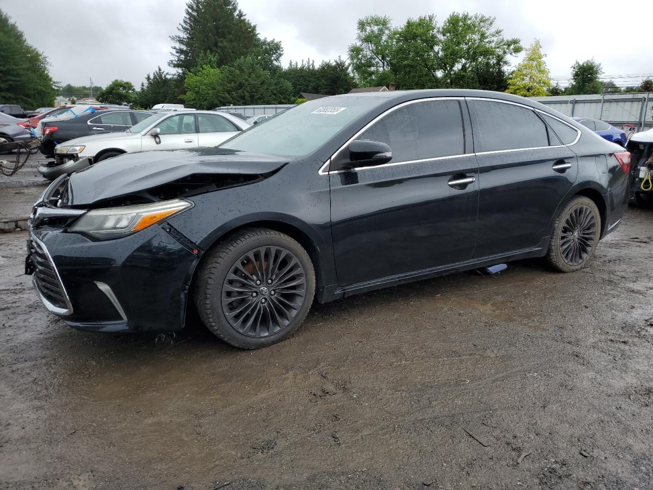 TOYOTA AVALON XLE
