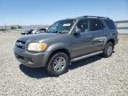 5TDZT34A55S244220 TOYOTA SEQUOIA Photo 1