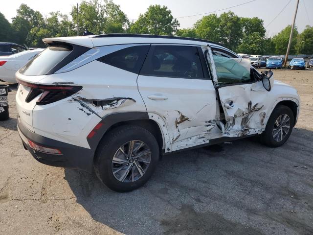 2022 HYUNDAI TUCSON BLU KM8JBCA12NU040664