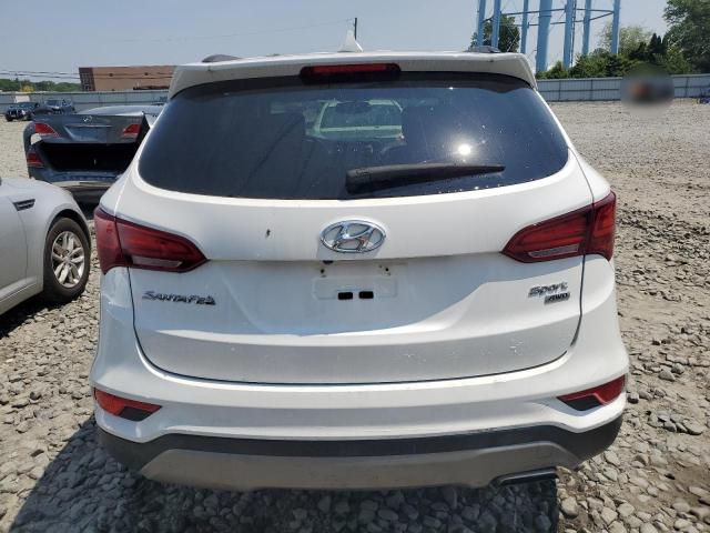 2017 HYUNDAI SANTA FE S - 5XYZUDLB1HG401157