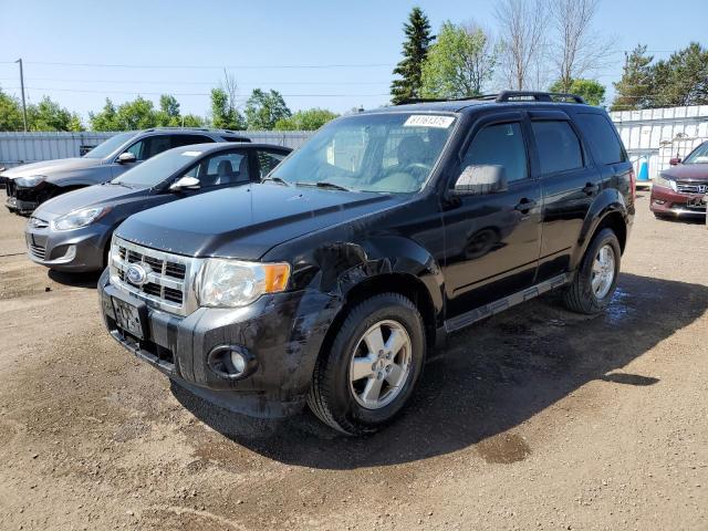 Vin: 1fmcu0d77bka45903, lot: 61161375, ford escape xlt 2011 img_1