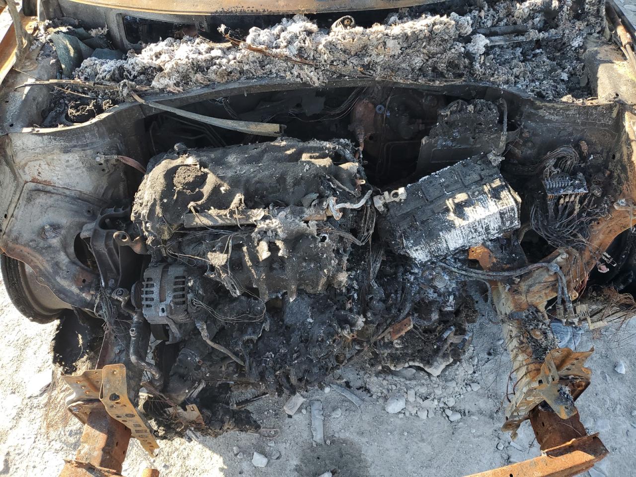 Lot #3296509686 2024 KIA SOUL LX