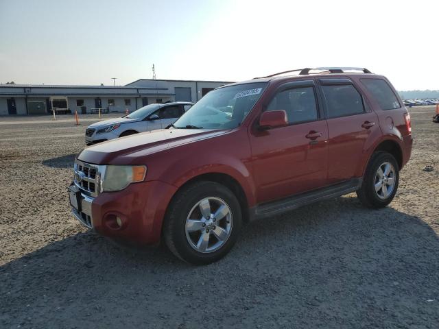 2010 FORD ESCAPE LIMITED - 1FMCU9EG2AKC81490