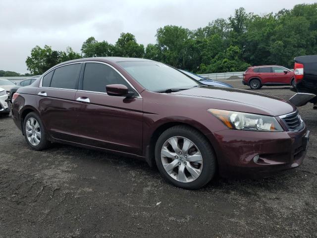Vin: 5kbcp3f84ab011160, lot: 60649335, honda accord exl 20104