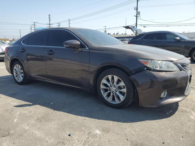 Vin: jthbw1gg7d2025857, lot: 59790165, lexus es300 300h 20134