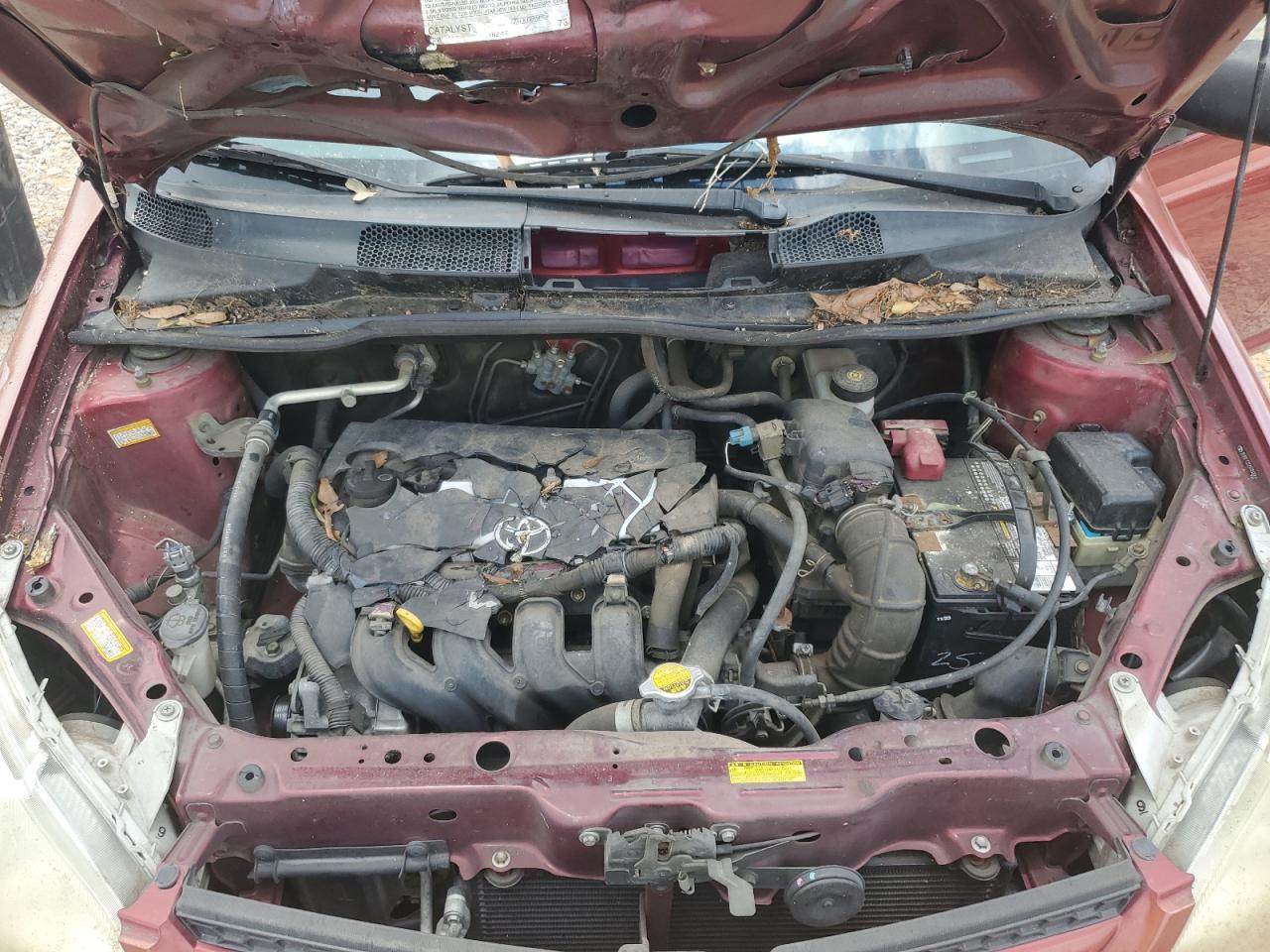 Lot #3297076506 2005 TOYOTA ECHO