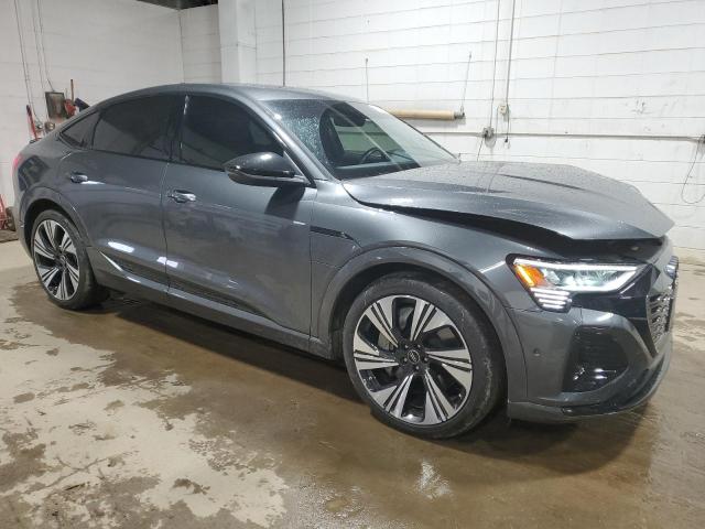 2024 AUDI Q8 E-TRON - WA1DABGE6RB007445