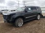 2016 CADILLAC ESCALADE P - 1GYS4DKJ2GR270048