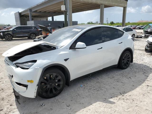 Vin: 7saygdee8nf350952, lot: 59857325, tesla model y 2022 img_1