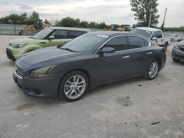 NISSAN MAXIMA