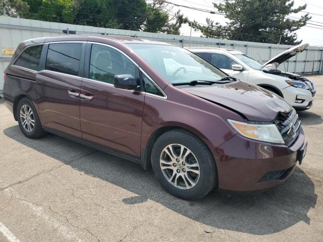 Vin: 5fnrl5h62cb030532, lot: 59469685, honda all models exl 20124