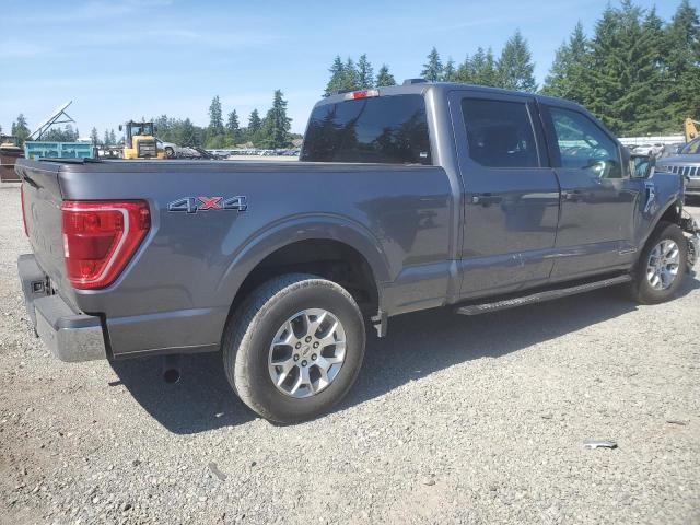 Vin: 1ftfw1ed3mfa86000, lot: 59818875, ford f-150 supercrew 20213