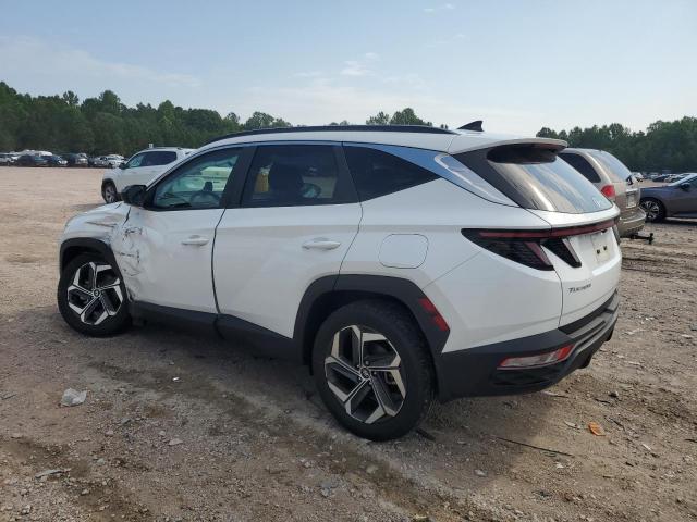 HYUNDAI TUCSON SEL 2023 white  gas 5NMJFCAE7PH244947 photo #3
