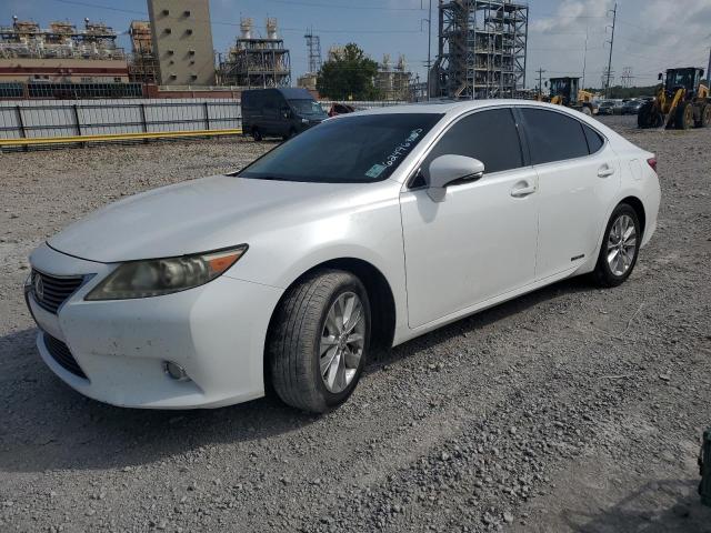 LEXUS ES 300H