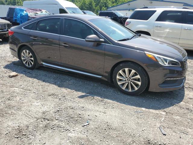 Vin: 5npe34af8gh380662, lot: 59962355, hyundai sonata sport 20164