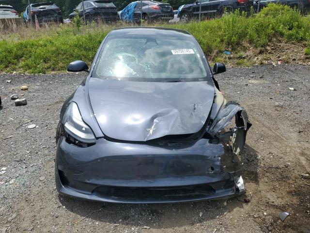 2023 TESLA MODEL 3 #3302910061