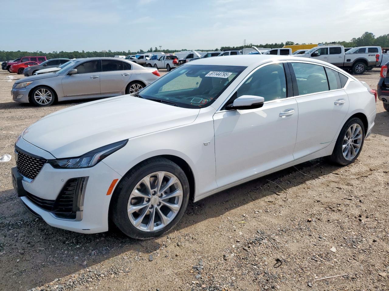 Lot #3257242786 2023 CADILLAC CT5 LUXURY