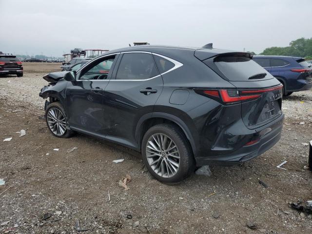 2023 LEXUS NX 350H 2T2HKCEZ9PC014254