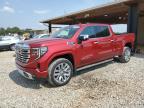 2024 GMC SIERRA K15 - 3GTUUGELXRG258732