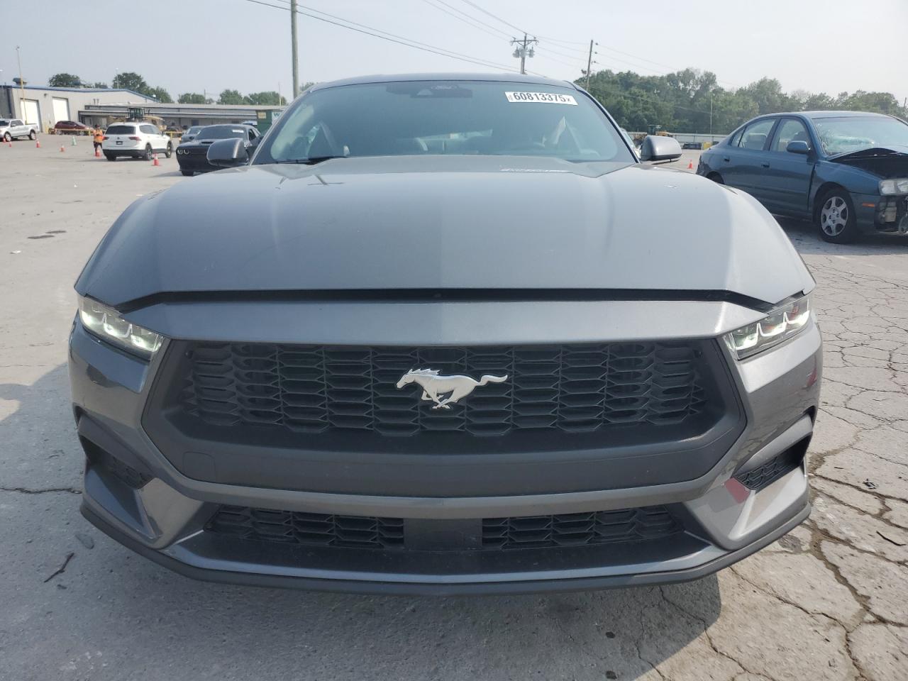 Lot #3304547502 2025 FORD MUSTANG