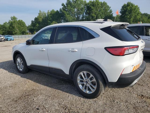 Vin: 1fmcu0g62nub54412, lot: 59548175, ford escape se 20222