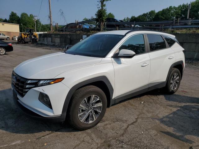 Global Auto Auctions: 2022 HYUNDAI TUCSON BLU